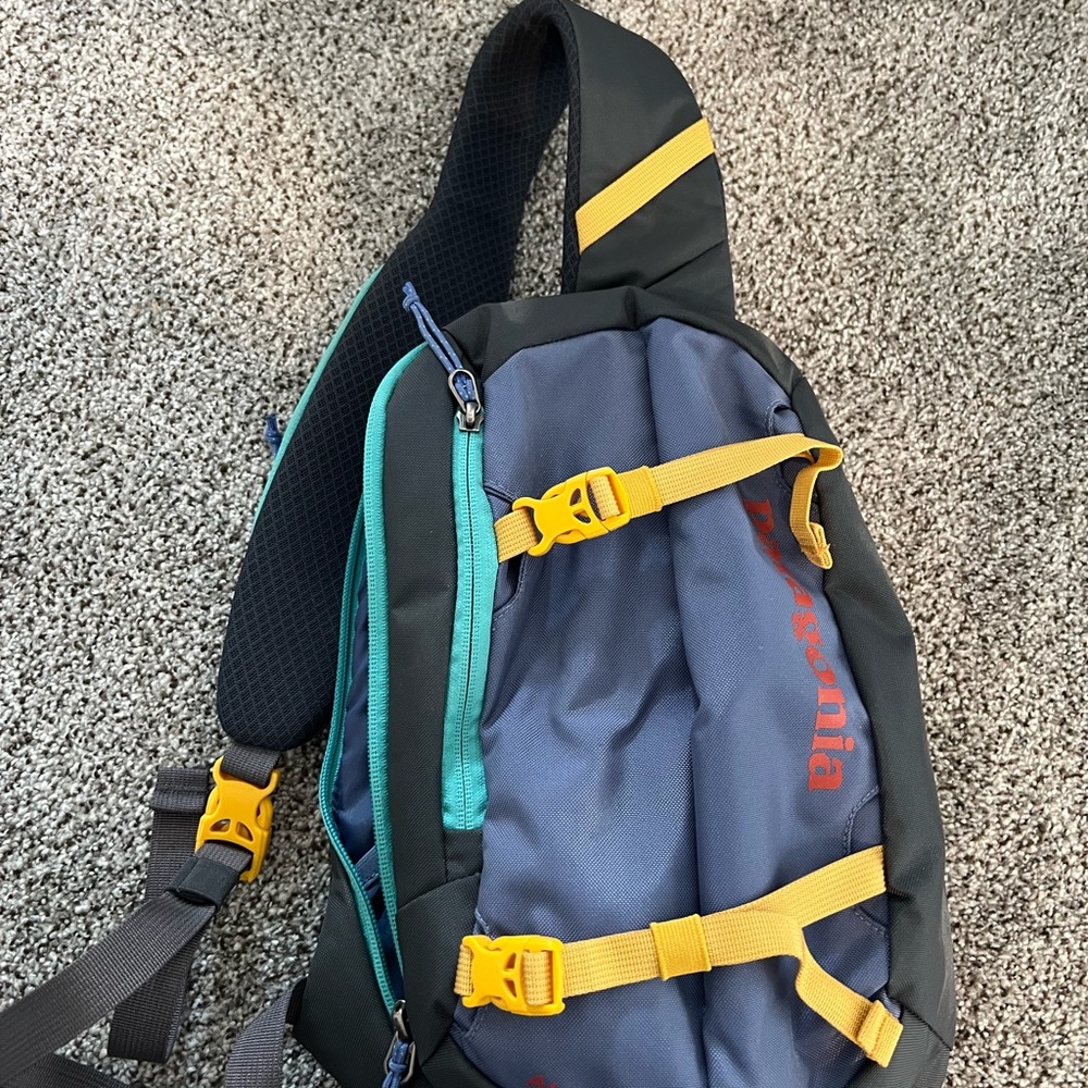 Patagonia Blue and Yellow Backpack with Durable Design